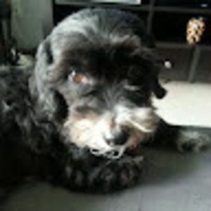 Meet your Posher, Ruby